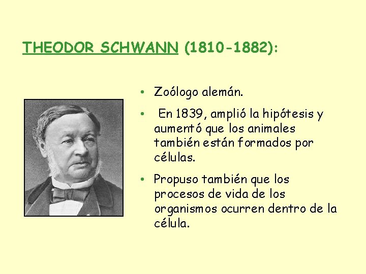 THEODOR SCHWANN (1810 -1882): • Zoólogo alemán. • En 1839, amplió la hipótesis y