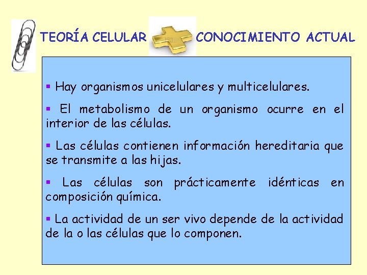 TEORÍA CELULAR CONOCIMIENTO ACTUAL § Hay organismos unicelulares y multicelulares. § El metabolismo de