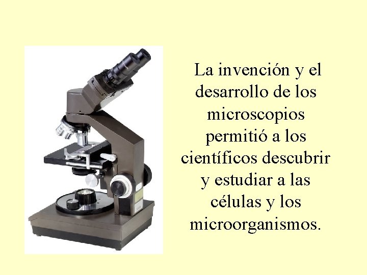 La invención y el desarrollo de los microscopios permitió a los científicos descubrir y