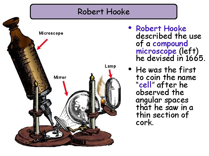 Robert Hooke • Microscope Lamp Mirror • Robert Hooke described the use of a