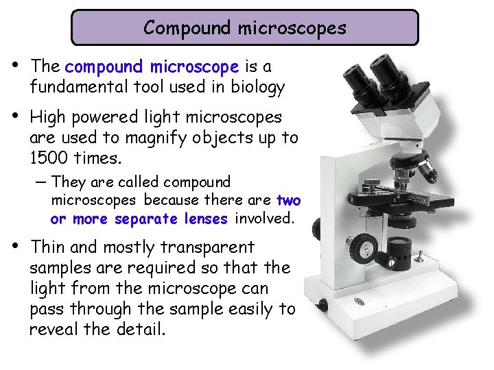 Compound microscopes • The compound microscope is a fundamental tool used in biology •