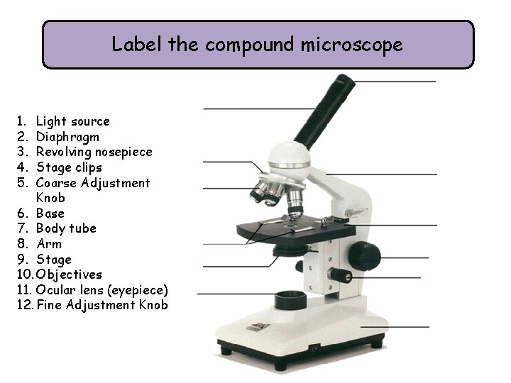 Label the compound microscope 1. 2. 3. 4. 5. Light source Diaphragm Revolving nosepiece