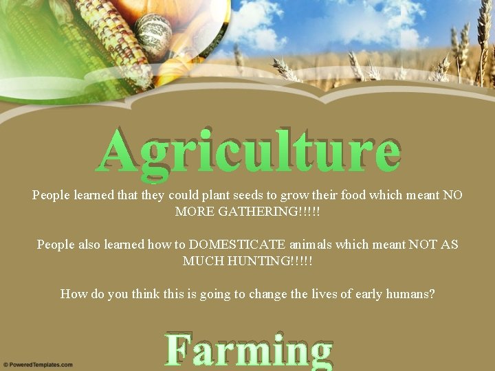 Agriculture People learned that they could plant seeds to grow their food which meant