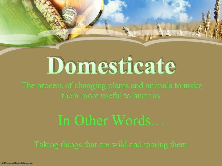 Domesticate The process of changing plants and animals to make them more useful to