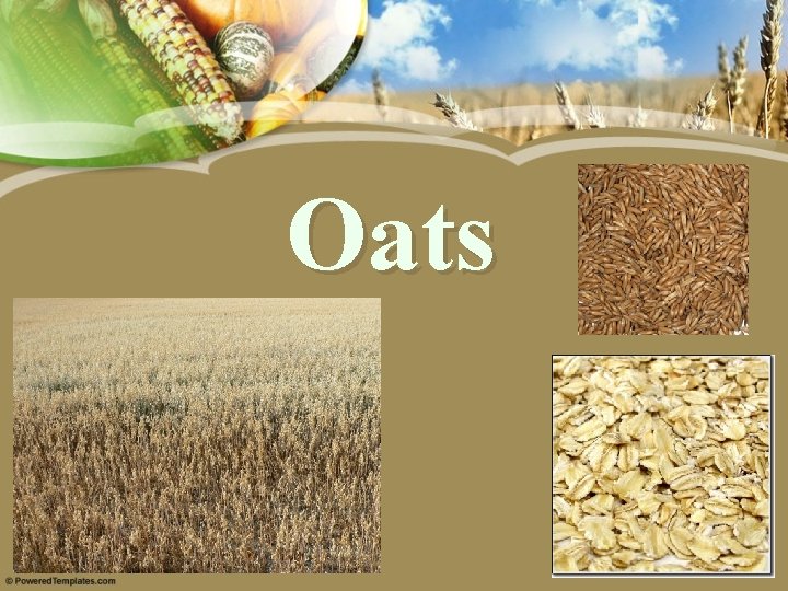 Oats 