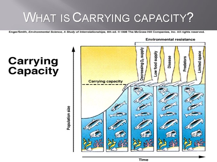 WHAT IS CARRYING CAPACITY? 