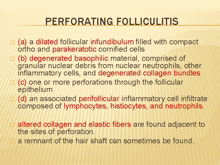 PERFORATING FOLLICULITIS � � � (a) a dilated follicular infundibulum filled with compact ortho