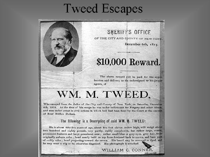 Tweed Escapes 