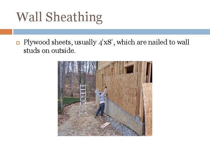 Wall Sheathing Plywood sheets, usually 4’x 8’, which are nailed to wall studs on