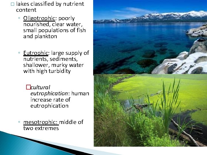 � lakes classified by nutrient content ◦ Oligotrophic: poorly nourished, clear water, small populations