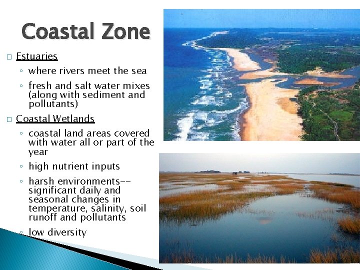 Coastal Zone � Estuaries ◦ where rivers meet the sea ◦ fresh and salt