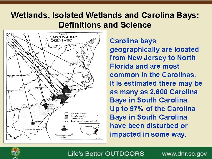 Wetlands, Isolated Wetlands and Carolina Bays: Definitions and Science Carolina bays geographically are located