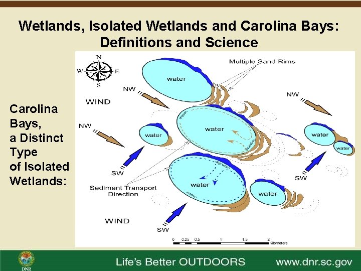 Wetlands, Isolated Wetlands and Carolina Bays: Definitions and Science Carolina Bays, a Distinct Type