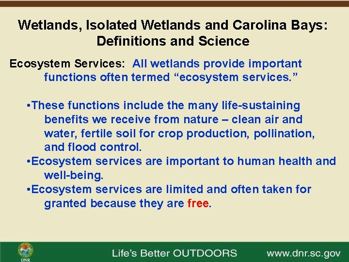 Wetlands, Isolated Wetlands and Carolina Bays: Definitions and Science Ecosystem Services: All wetlands provide