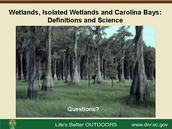 Wetlands, Isolated Wetlands and Carolina Bays: Definitions and Science Questions? 