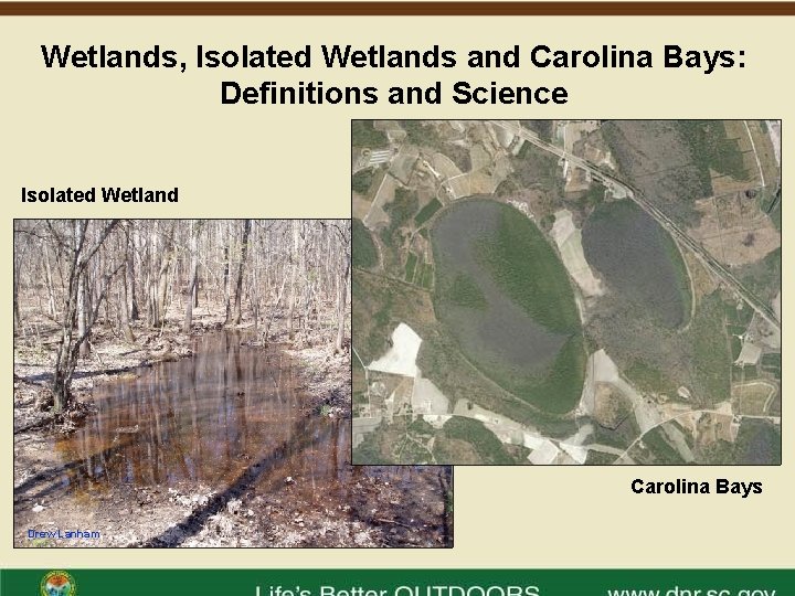 Wetlands Isolated Wetlands and Carolina Bays Definitions and