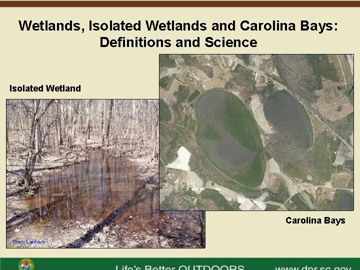 Wetlands, Isolated Wetlands and Carolina Bays: Definitions and Science Isolated Wetland Carolina Bays Drew