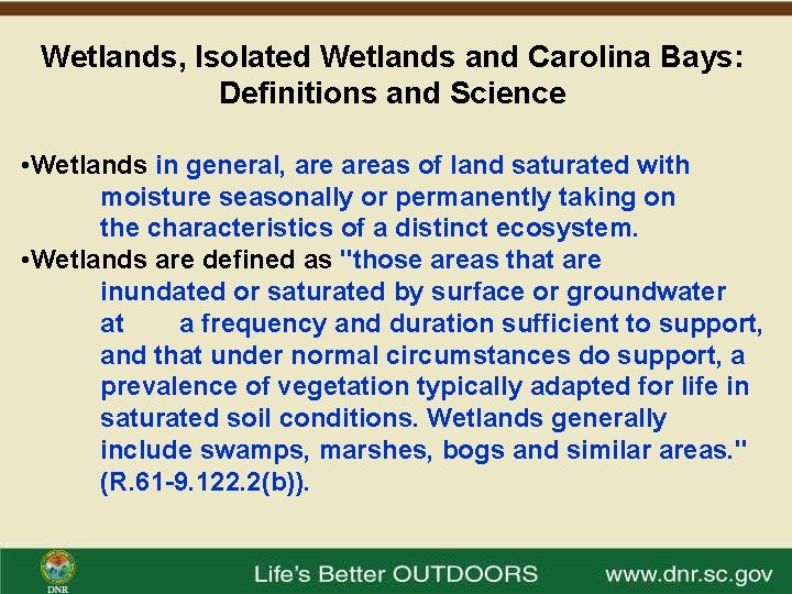 Wetlands, Isolated Wetlands and Carolina Bays: Definitions and Science • Wetlands in general, areas