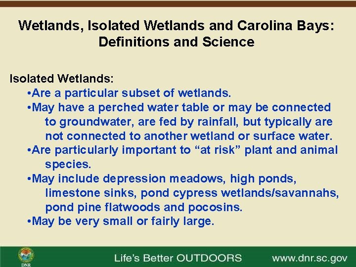 Wetlands, Isolated Wetlands and Carolina Bays: Definitions and Science Isolated Wetlands: • Are a