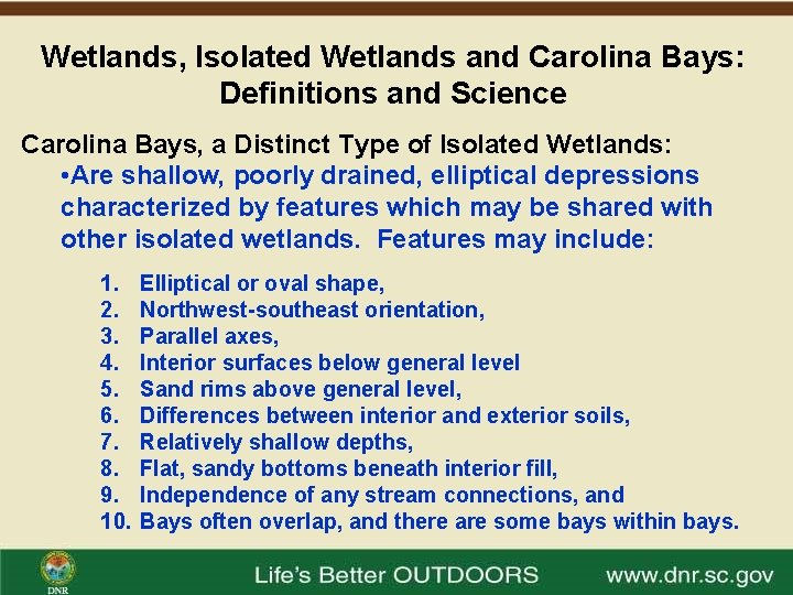 Wetlands Isolated Wetlands and Carolina Bays Definitions and