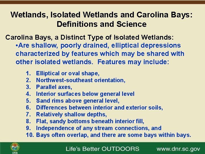 Wetlands, Isolated Wetlands and Carolina Bays: Definitions and Science Carolina Bays, a Distinct Type