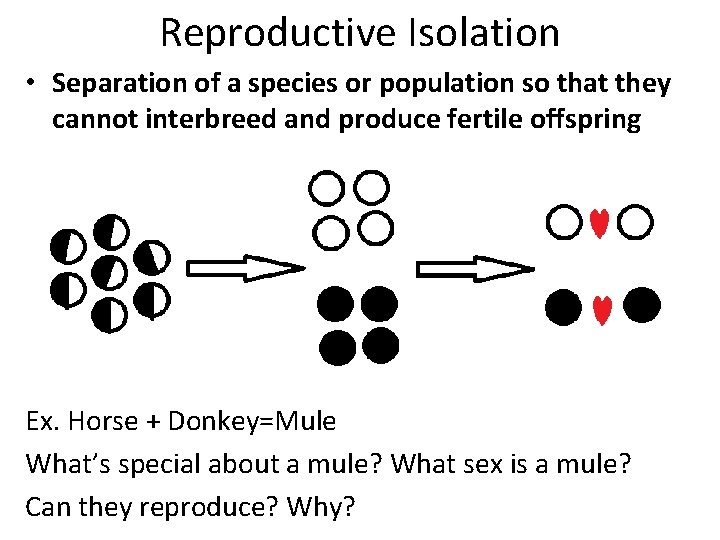 Reproductive Isolation • Separation of a species or population so that they cannot interbreed