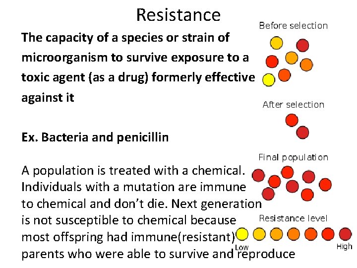 Resistance The capacity of a species or strain of microorganism to survive exposure to