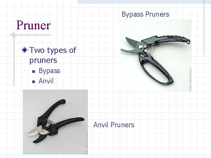 Pruner Bypass Pruners Two types of pruners n n Bypass Anvil Pruners 