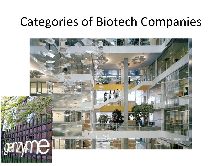 Categories of Biotech Companies 