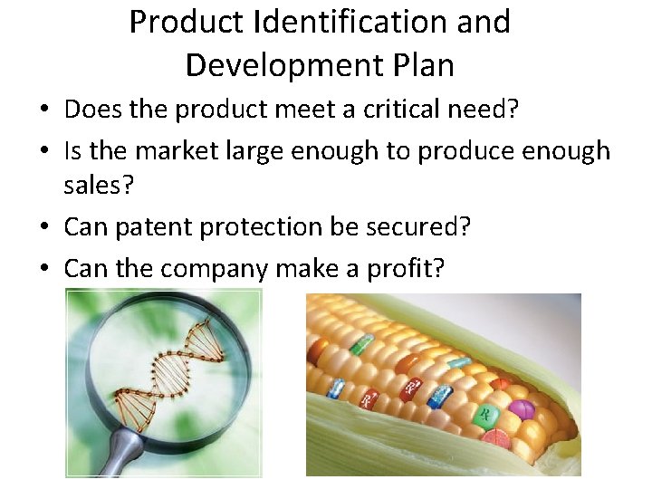 Product Identification and Development Plan • Does the product meet a critical need? •