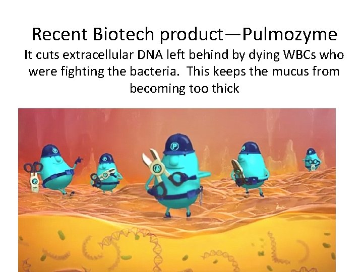 Recent Biotech product—Pulmozyme It cuts extracellular DNA left behind by dying WBCs who were