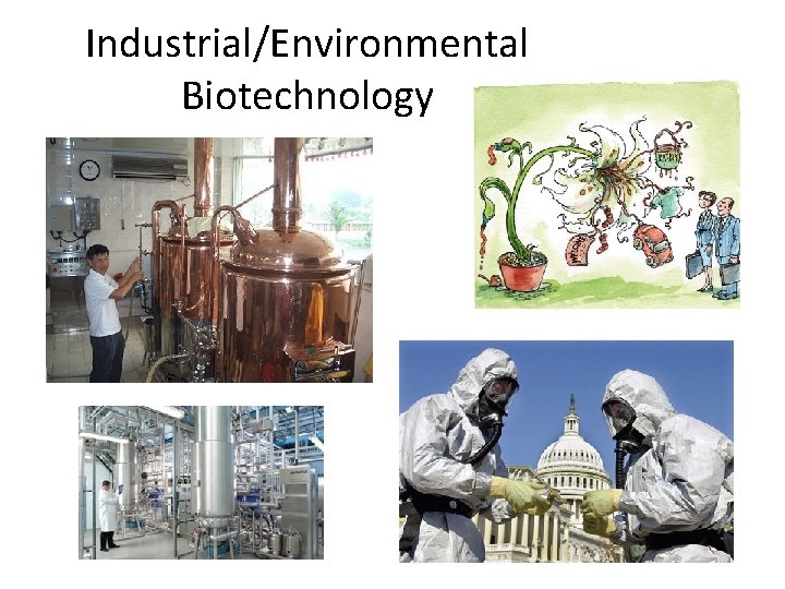 Industrial/Environmental Biotechnology 