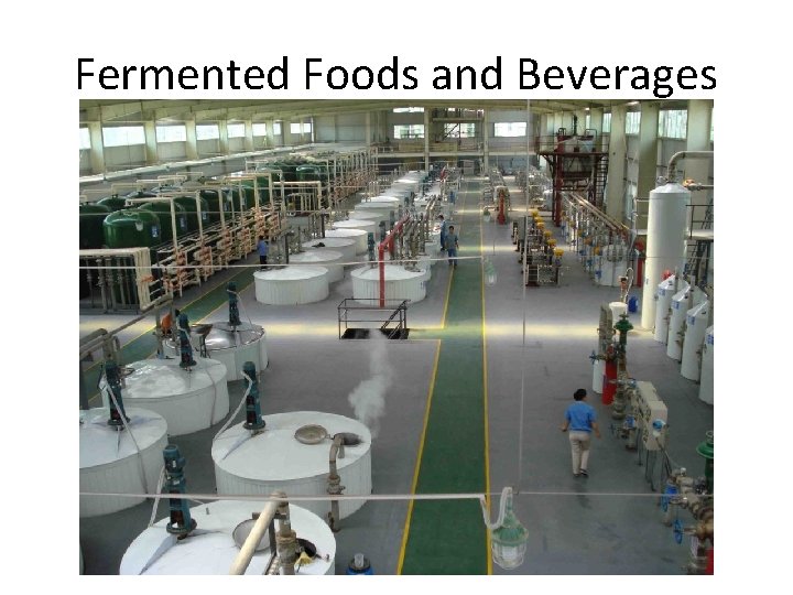 Fermented Foods and Beverages 