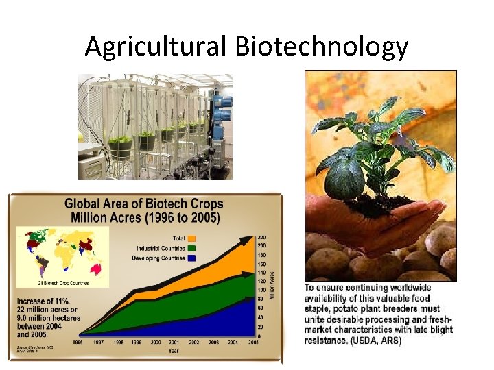 Agricultural Biotechnology 