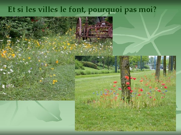 Et si les villes le font, pourquoi pas moi? . . 