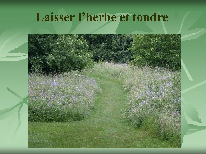 Laisser l’herbe et tondre 