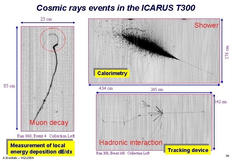 Cosmic rays events in the ICARUS T 300 25 cm 176 cm Shower Calorimetry