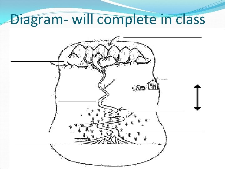 Diagram- will complete in class 