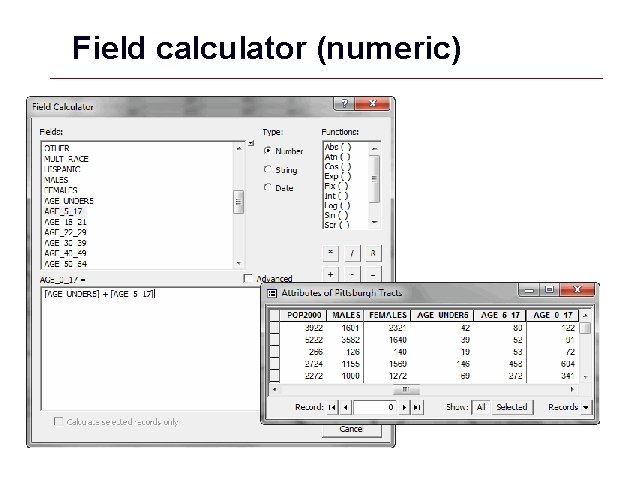 Field calculator (numeric) GIS 10 Field calculator (numeric) GIS 10