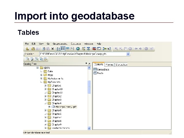 Import into geodatabase Tables GIS 45 Import into geodatabase Tables GIS 45