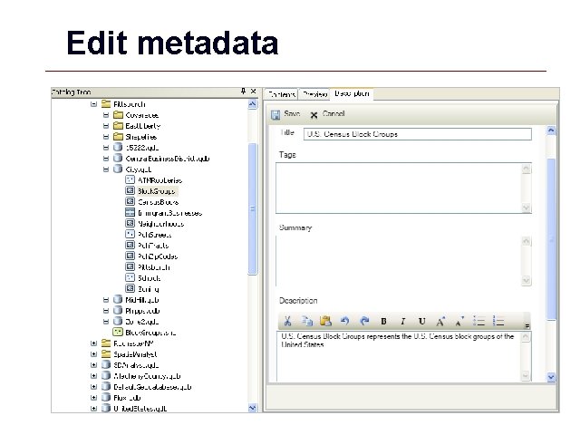 Edit metadata GIS 55 Edit metadata GIS 55