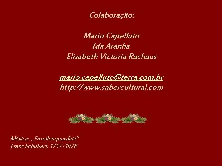 Colaboração: Mario Capelluto Ida Aranha Elisabeth Victoria Rachaus mario. capelluto@terra. com. br http: //www.