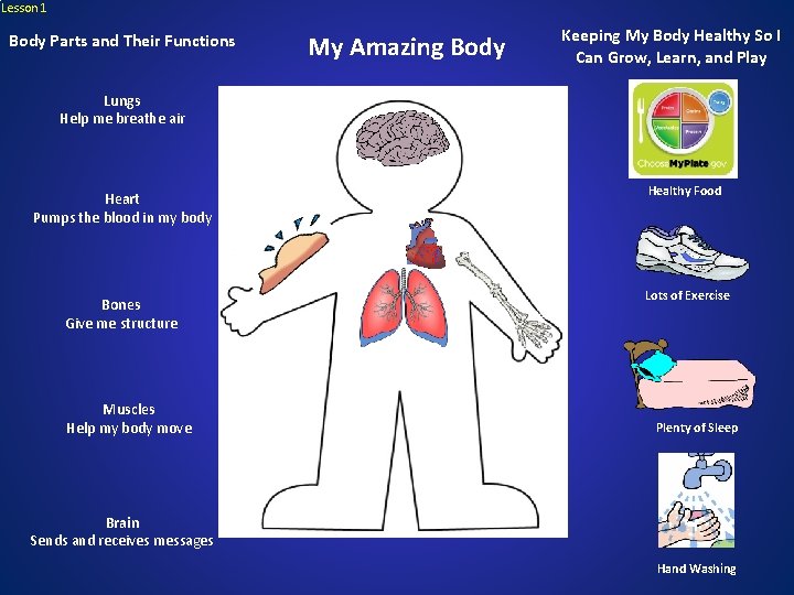 Lesson 1 Body Parts and Their Functions My Amazing Body Keeping My Body Healthy