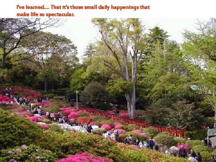 I've learned. . That it's those small daily happenings that make life so spectacular.