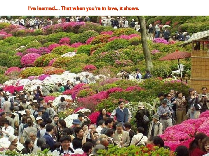 I've learned. . That when you're in love, it shows. 