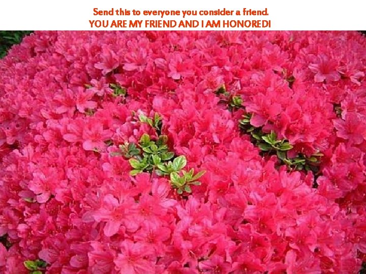 Send this to everyone you consider a friend. YOU ARE MY FRIEND AND I
