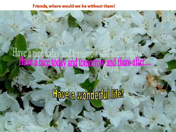 Friends, where would we be without them! 