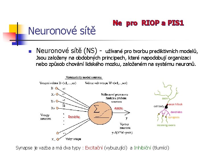 Neuronové sítě n Ne pro RIOP a PIS 1 Neuronové sítě (NS) - užívané