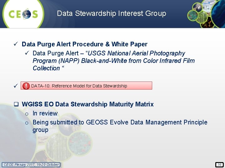 Data Stewardship Interest Group ü Data Purge Alert Procedure & White Paper ü Data