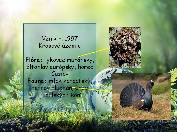 Vznik r. 1997 Krasové územie Flóra: lykovec muránsky, žltohlav európsky, horec Cusiov Fauna: mlok